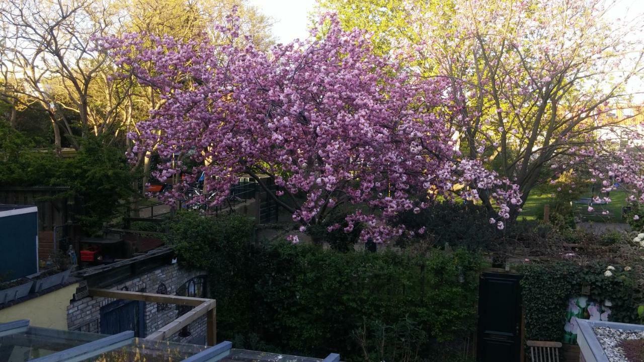 Bed En Broodje Bloem Panzió Delft Kültér fotó